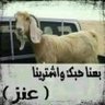 Hassan Khalaf Eifan's profile picture
