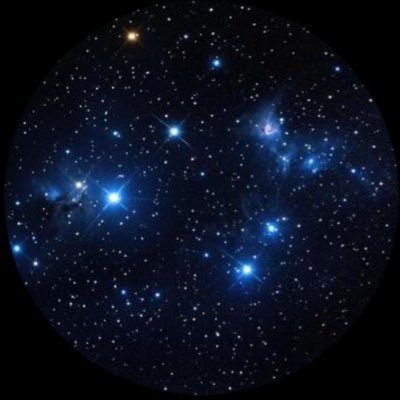 JxxSucculent's profile picture