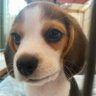 Profilbild von Tracy