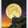 Profilbild von 夜空の星3
