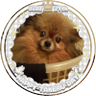 Profilbild von ãããŸãð€ð