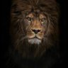 FDD95👁️👌la bête noire des culers's profile picture