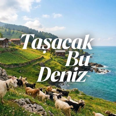 Taşacak Bu Deniz's profile picture