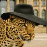 Suabo Del Paraíso - Bruder Jaguar's profile picture