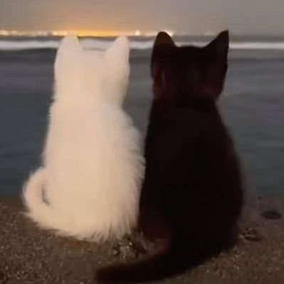 WhiteMilkz's profile picture