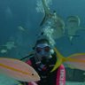 Sarah’s Under Water Adventures 的头像