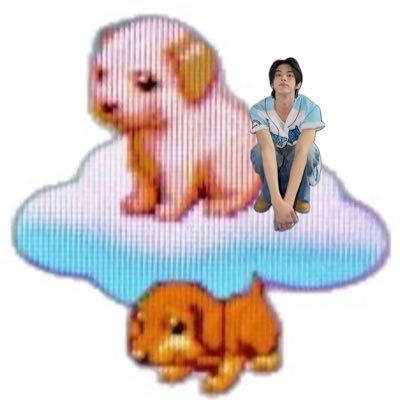 pxpxdxd's profile picture