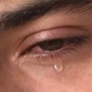 zucamelo's profile picture