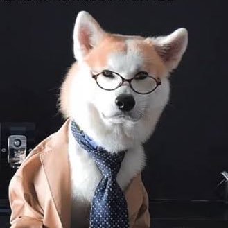 Gogate4's profile picture