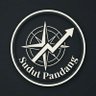 Sudut Pandang profil fotoğrafı