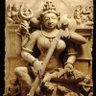Rudraksh's profile picture