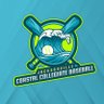 Coastal Collegiate Baseball League's profile picture