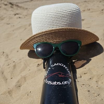 minxed159's profile picture