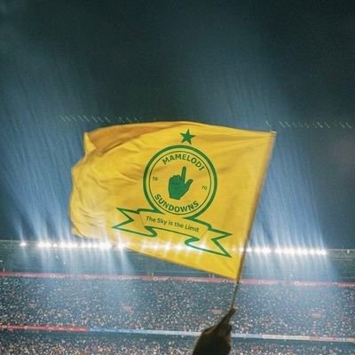🇿🇦Attention seeker 😒's profile picture