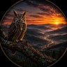 Owl 的头像