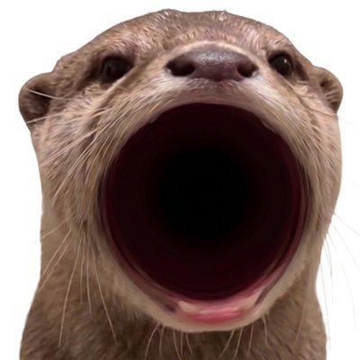 ottr's profile picture