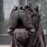 TripleCorso's profile picture