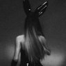 tommy ꕤ's profile picture