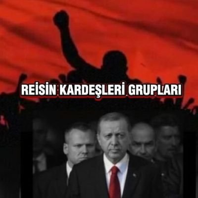 KaviSelma's profile picture