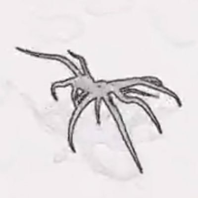 7i7mhg's profile picture