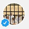 مصــري غلبان's profile picture