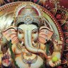 Madhu's profile picture