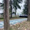 Фото профиля 陈桂林