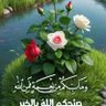 Profilbild von . محمد عبدالمنعم