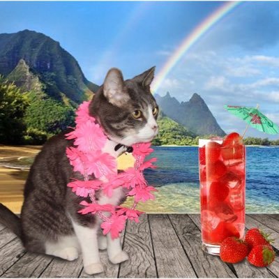 keebler elf's profile picture