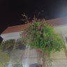 Фото профиля فارس