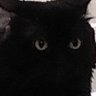 Profilbild von Crazy Tofu || sibuk RL