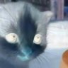 Profilbild von gomenasai