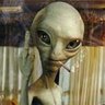 Profilbild von pedro