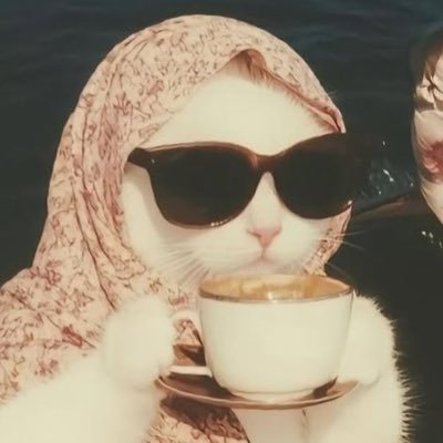 Gaia's profile picture