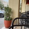 Shekah profil fotoğrafı