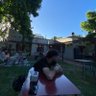 SC profil fotoğrafı