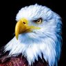 كرم الاجواد profil fotoğrafı