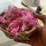 Фото профиля أ