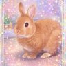 Profilbild von amy（エイミー）