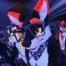 plastickfox 🔜 ANE, FE, AC, FD profil fotoğrafı