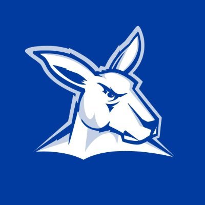 North Melbourne FC's profile picture
