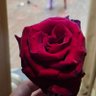 سلمى غريواتي 💚 🇸🇾 🌸 🍂 的头像
