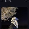 Profilbild von جمال الدين