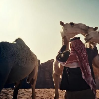 أ's profile picture