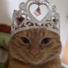 Profilbild von anna