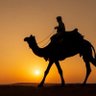 Profilbild von نابغة