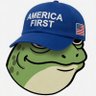 Salty Sneeze Groyper profil fotoğrafı