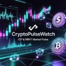 Profilbild von CryptoPulseWatch
