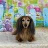 Фото профиля なおなお