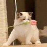aira profil fotoğrafı
